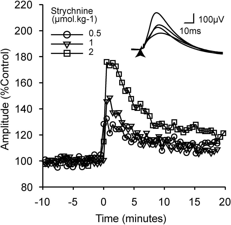 Fig. 1. Dose-dependent effects of strychnine on the amplitude of the DRP evoked on the L5 dorsal root by a submaximal stimulus to the L6 root. The inset shows averaged DRPs from the control period and for each of the doses of strychnine