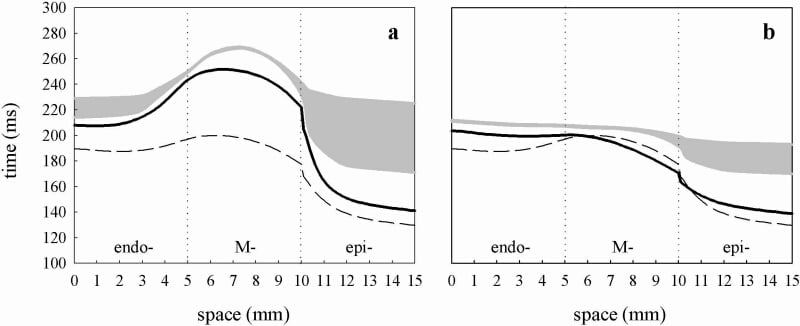 Figure 1. Effects of d-sotalol (a) and aniodarone (b) on the virtual ventricular wall. Spatial distributions of APD through the normal wall (dashed line) and the wall treated by drugs (solid lines) are shown along with the respective VWs (gray areas). Drug effects are modelled by differential blocking of IKr and ICa L in endo- M- and epicardial cells: for the d-sotalol model IKr is depressed by 40% in endo- by 100% in M-cell and by 65% in the epicardial region; for the amiodarone model IKr is uniformly depressed by 50% throughout the wall and ICa L is depressed by 40% in the M-cell region.