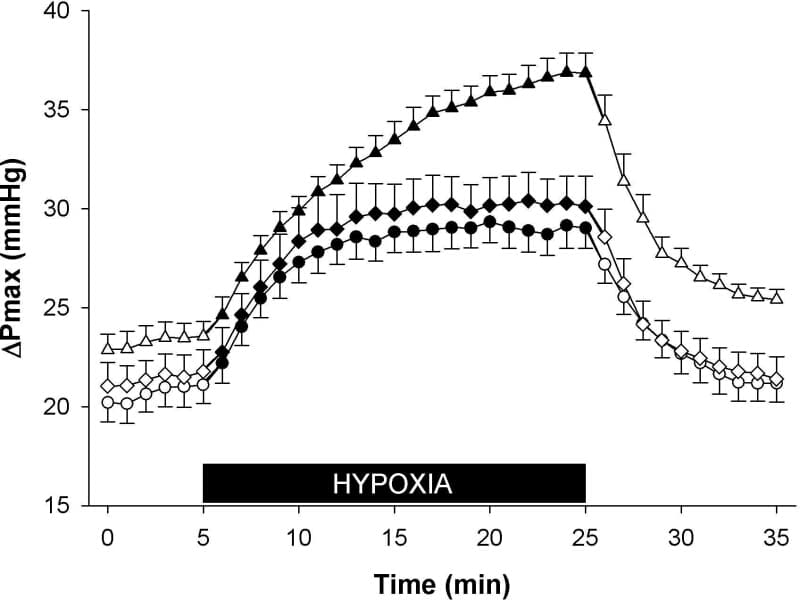 ΔPmax before (circles) immediately after (triangles) and 24 h after (diamonds) an 8-h infusion of DFO.