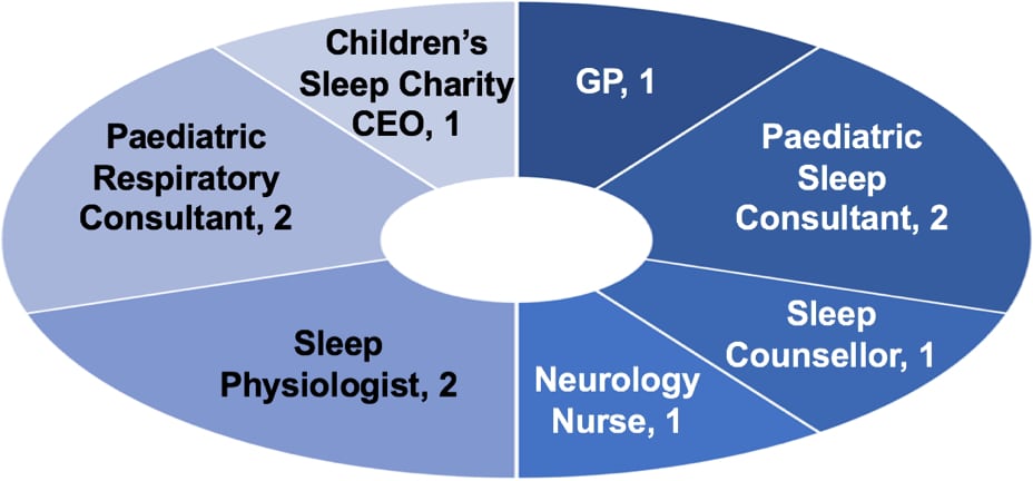 Figure 1: Interviewees and their roles