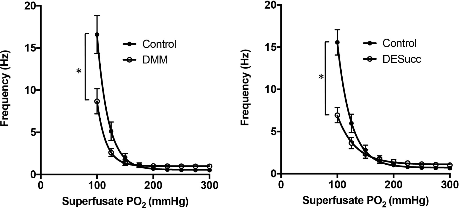 Changes in mitochondrial succinate metabolism modify the carotid body chemoafferent response to hypoxia. Inhibiting mitochondrial complex II with dimethyl malonate (DMM; 10mM-left) reduces but does not abolish the carotid body chemoafferent elevation during hypoxia. Increasing succinate metabolism, achieved through application of diethyl succinate (DESucc; 5mM-right), also decreases the response to hypoxia.
