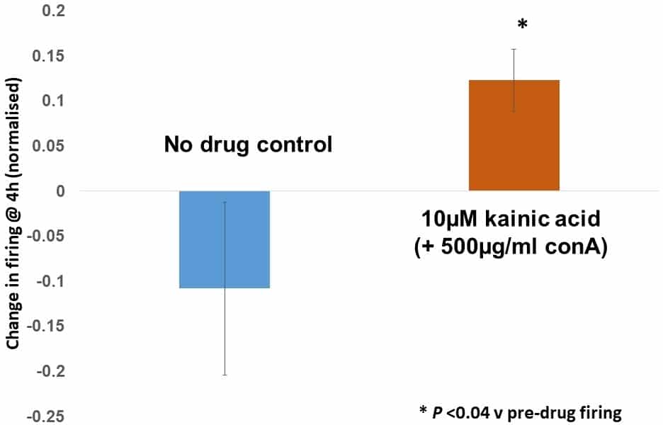 10 μM kainate (with concanavalin A to block receptor desensitisation) significantly increased baroreceptor firing relative to pre-drug levels (P <0.04, n=4), while no drug control preparations underwent an overall, but non-significant, decrease (P=0.31, n=6).
