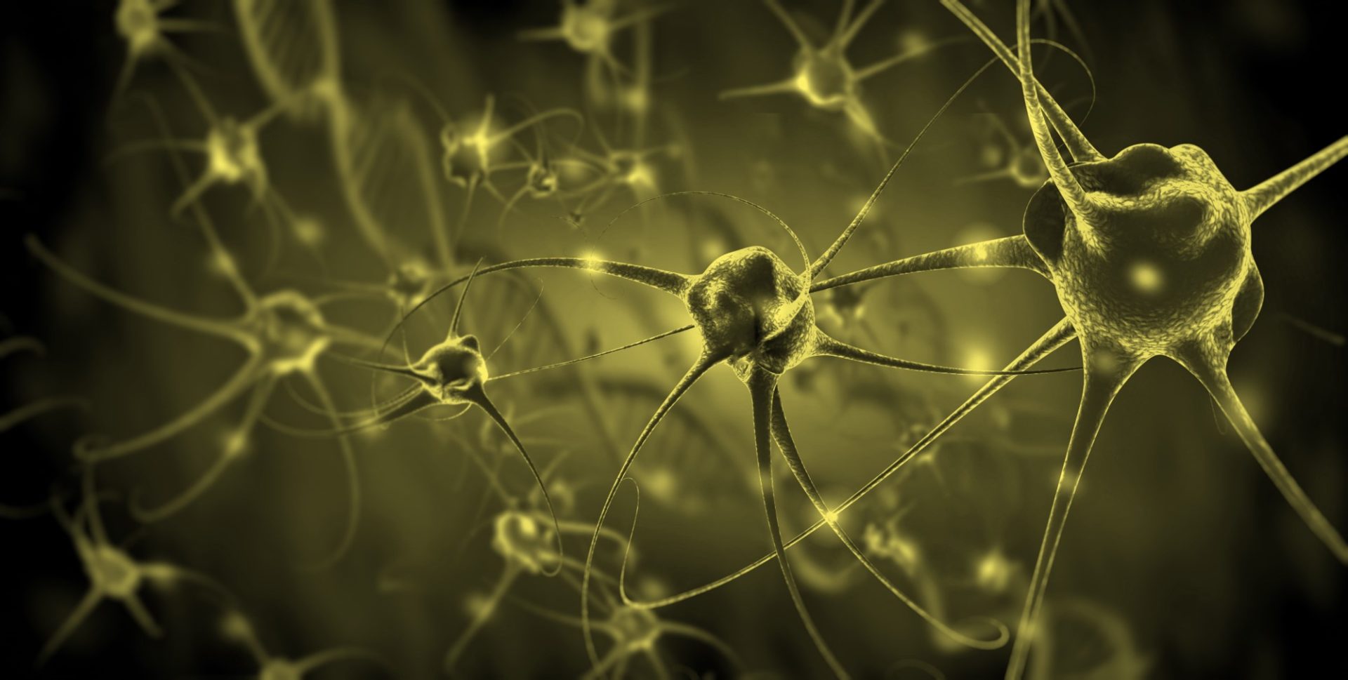 Neuroendocrine Regulation of Energy Balance - The Physiological Society