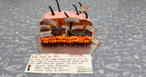 Derma Cake explaining that the largest organ, covering the entire body. It serves as a shield against heat, light, injury and infection.