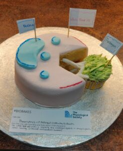 Phagocytosis A Pathogen's Pathway To Death as a cake, the cake explains that the white blood cell is engulfing the pathogen in phagocytosis, after having produced antibodies.