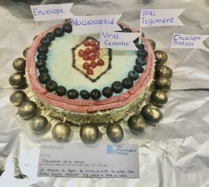 Structure of a virus cake showing a type of virus, which is what the body fights against. Eg when it has a cold.