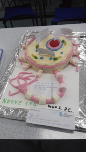 Nerve Cell cake made with sweets, the cake is explaining what the different parts of a cell are. The cake is on top of a white piece of paper, which is placed on top of tin foil.