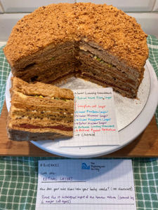Retinal Layers cake which shows the 10 histological layers of the human retina (formed by 6 major cell types). The cake is brown with different colours and textures for each layer.