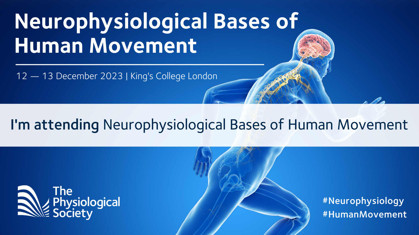 Neurophysiological Bases of Human Movement