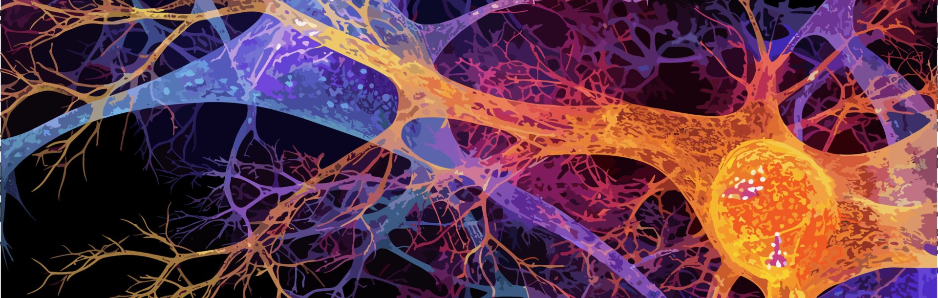 Brain neurons showcasing the Intricate Network of Neurons in the Human Brain to help us Understand Natural Behaviour and its Neural Underpinnings