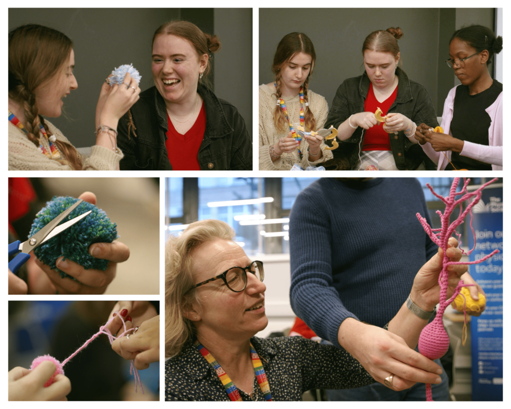 Knit a Neurone activity at Physiology Week 2023