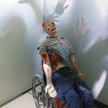 Is there room for playful learning in physiology education?