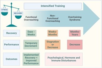 If the stress/recovery imbalance continues during intensified training, athletes will experience the overtraining syndrome. 