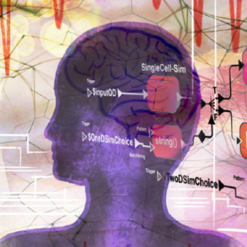 The Journal of Precision Medicine: Health and Disease. A pivotal moment for shaping the future of healthcare shares Professor Colleen E. Clancy, the journal's founding EiC.