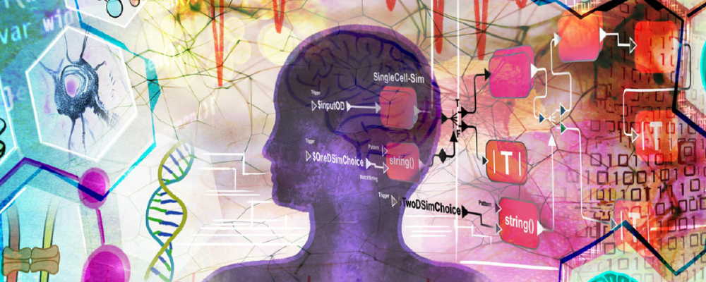 The Journal of Precision Medicine: Health and Disease. A pivotal moment for shaping the future of healthcare shares Professor Colleen E. Clancy, the journal's founding EiC.