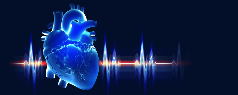 Cross-Talk of Cells in the Heart 2025, The Physiological Society meeting. The scientific programme meeting organisers give a whistlestop tour of the key aspects of the field and what to expect at the two-day meeting.