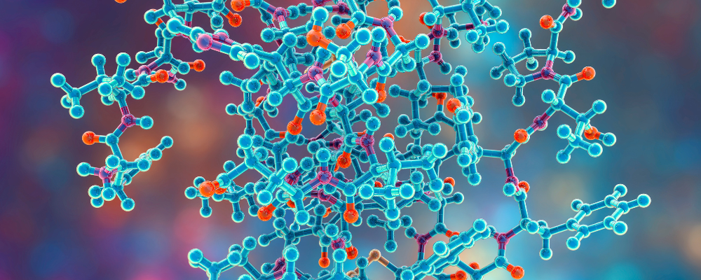 In this article, the organisers, Dr Derek Ball, Dr Brendan Gabriel and Professor Frank Thies (University of Aberdeen, UK) share their insights into insulin’s complex role beyond glucose regulation.