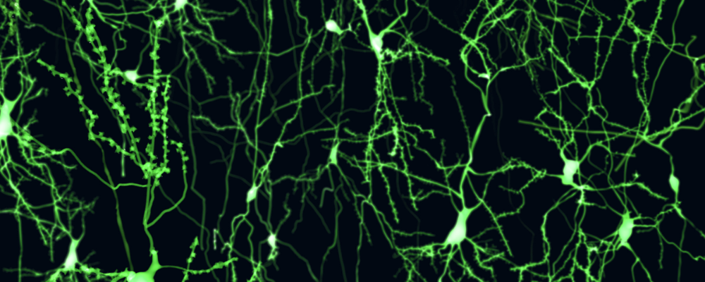 Unravelling codes for better health and disease prevention. Josh Thorley, Physiological Reports ECRs Short Review competition winner, tells us more.