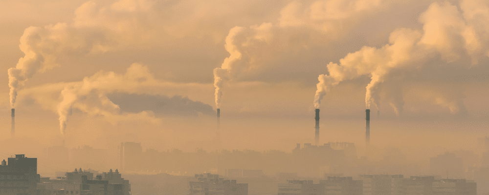 Josephine Adams (Editor-in-Chief, Physiological Reports) explains why air pollution is a pressing topic for physiological research. Read her article in Physiology News magazine.