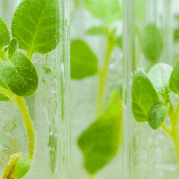 Professor Craig Sale (EiC, The Journal of Nutritional Physiology) writes about the future challenges and solutions for nutritional physiology education. Read his article 'Feeding minds' in Physiology News magazine.
