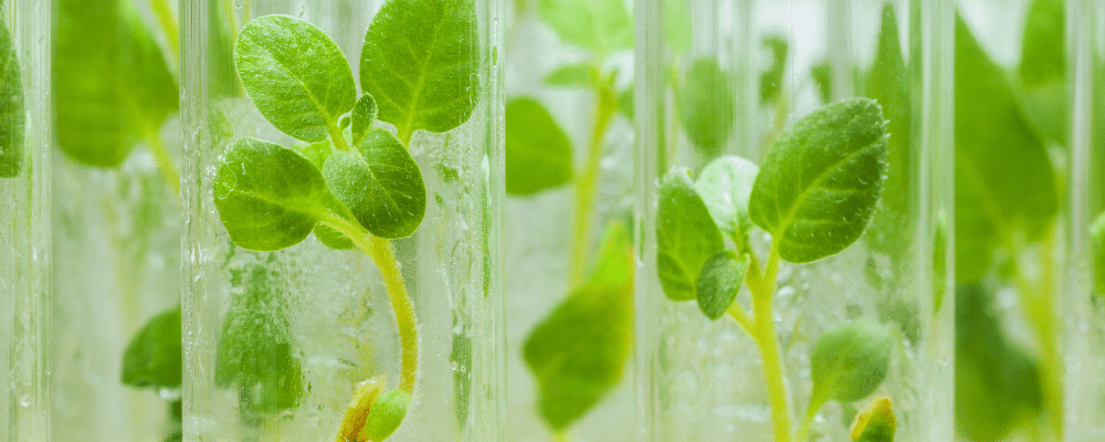 Professor Craig Sale (EiC, The Journal of Nutritional Physiology) writes about the future challenges and solutions for nutritional physiology education. Read his article 'Feeding minds' in Physiology News magazine.