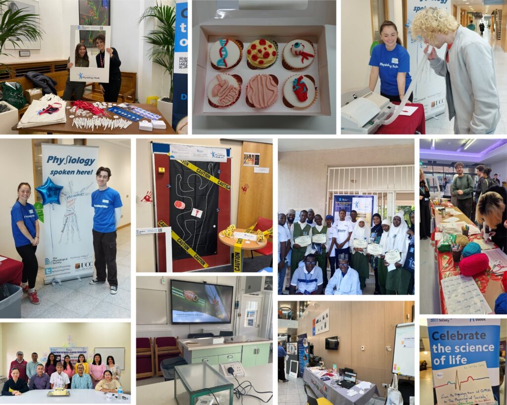 Photo collage x11 images (1)