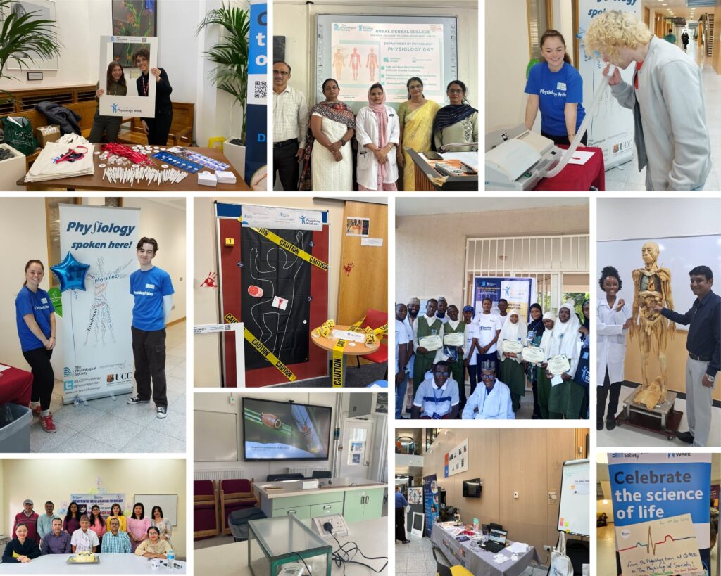 Photo collage x11 images (2)