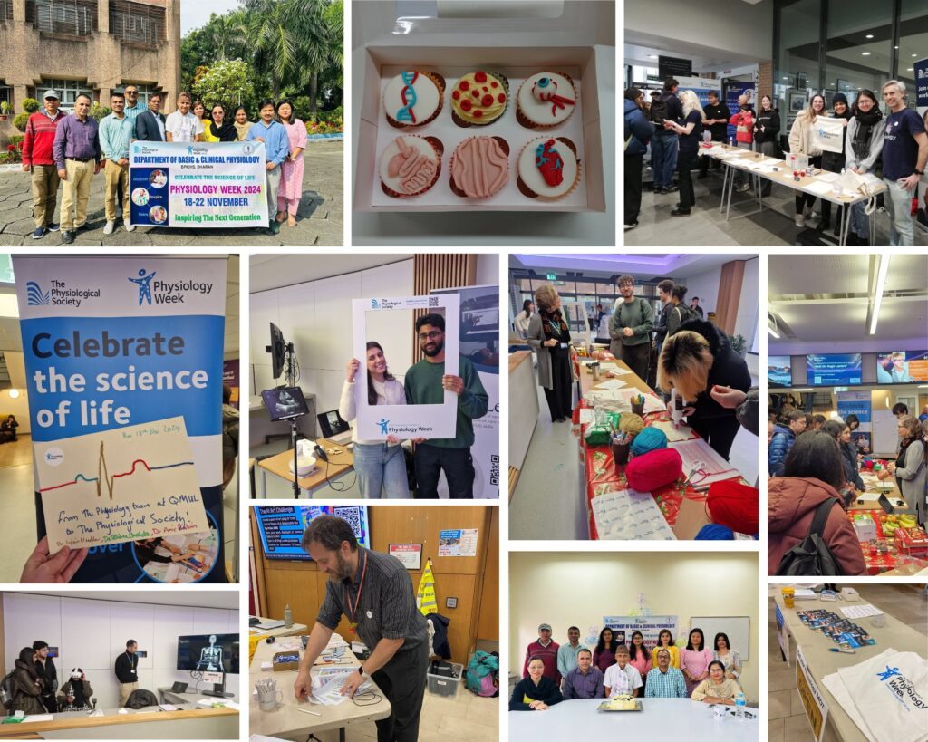 Photo collage x11 images (4)