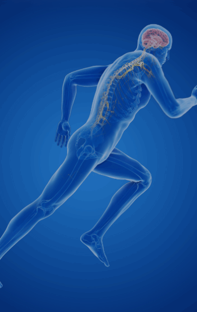 Neurophysiological Bases of Human Movement 2025 is taking place on 16 - 17 December at King’s College London, UK.