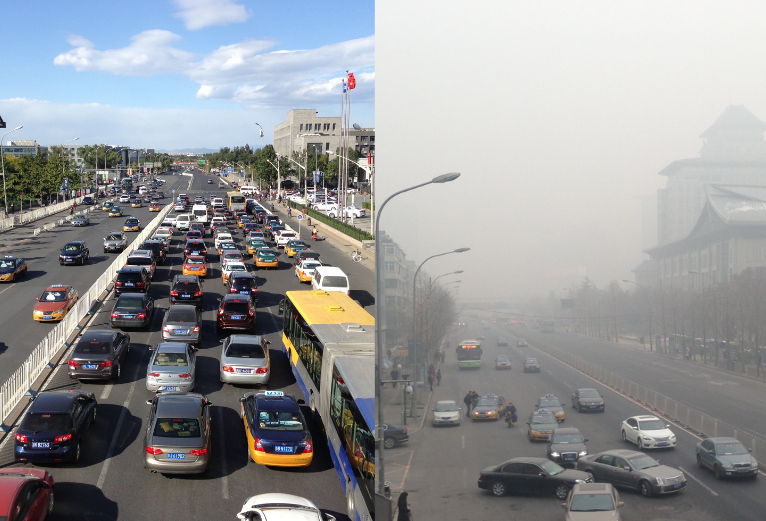 Protecting human and planetary health. In this blog, Professor Elizabeth J Z Robinson, talks about changing the world for the better, supporting policy makers, and working towards a common goal.