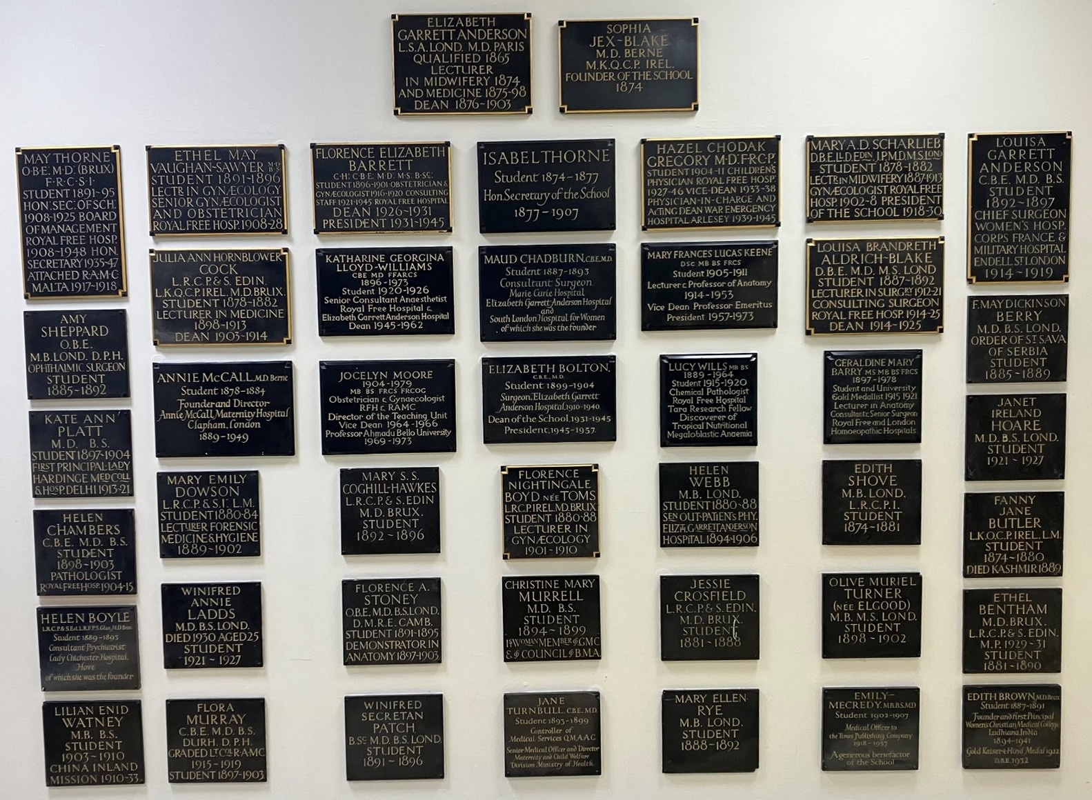 Lucy Wills (1889 – 1964) rose to international fame for her research in the 1930s. Here’s how she climbed from medical student to discoverer of nutritional anaemia. Read the blog 'Wills’ factor to folic acid' by Alireza Mani and Liz Blanks from University College London to learn more.
