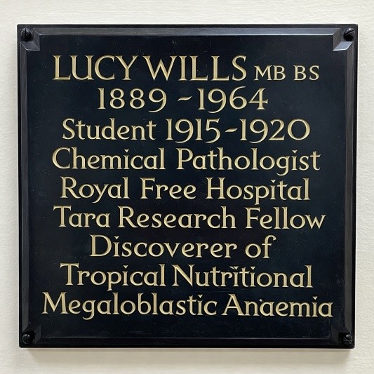 Lucy Wills (1889 – 1964) rose to international fame for her research in the 1930s. Here’s how she climbed from medical student to discoverer of nutritional anaemia. Read the blog 'Wills’ factor to folic acid' by Alireza Mani and Liz Blanks from University College London to learn more.