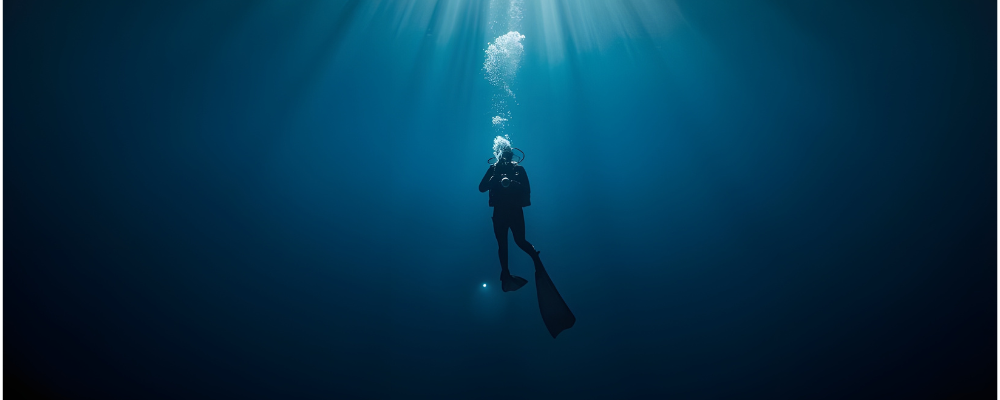 Colleen Clancy, EiC of The Journal of Precision Medicine: Health & Disease, explains what precision medicine reveals about diving physiology. Read the article in Physiology News magazine.