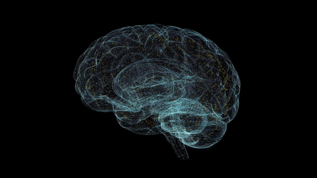 In this Q&A, Sanya Dalal tells us about her Rob Clarke Award research project on Amyotrophic Lateral Sclerosis.