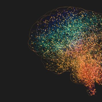 Brain stimulation, motor function and the impact of translational research - read our Q&A with Grace Kimber, the Society's 2025 Rob Clarke Award Winner.