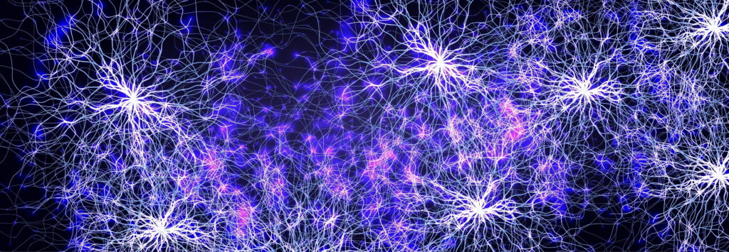 Member Joern Steinert was a 2025 Institutional Engagement Award recipient. We followed up with Joern to find out more about the event he led together with colleagues to gather neuroscientists across Nottingham with support of the Physiological Society’s grant.