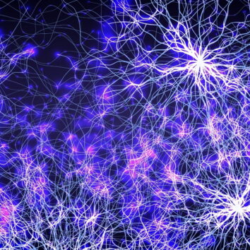 Member Joern Steinert was a 2025 Institutional Engagement Award recipient. We followed up with Joern to find out more about the event he led together with colleagues to gather neuroscientists across Nottingham with support of the Physiological Society’s grant.