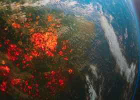 The Society’s Board of Trustees has declared that the climate emergency is a health emergency that requires urgent action. Read the news article to learn more.