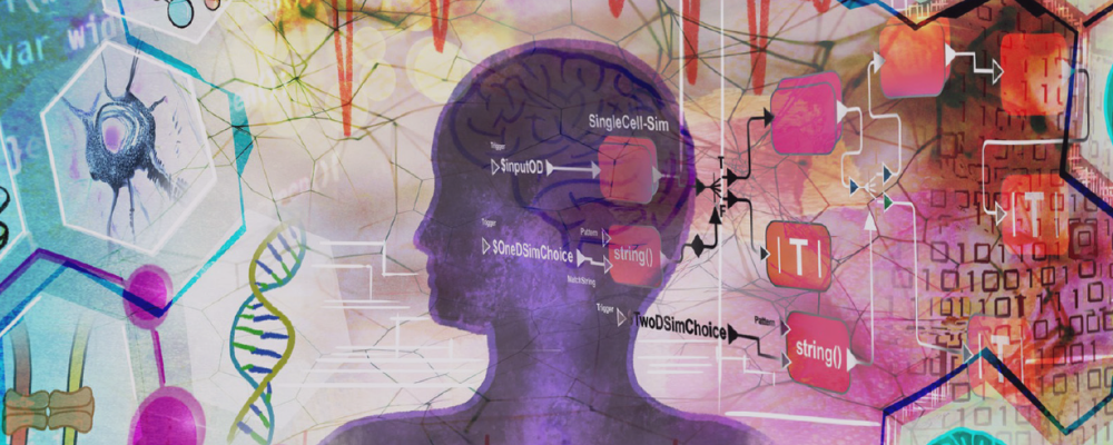 Precision Medicine and the future of physiology education.