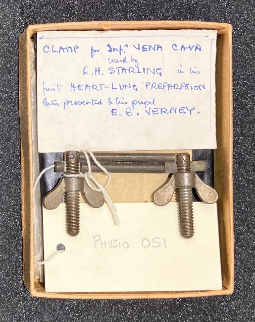 A seemingly ordinary clamp lies among the artefacts in UCL's rich historic collection. It was used by Ernest Starling to make physiological discoveries. Find out more.